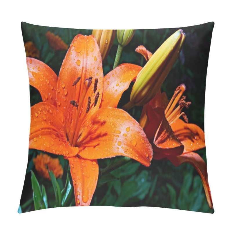 Personality  Bouquet Flowerses Pillow Covers