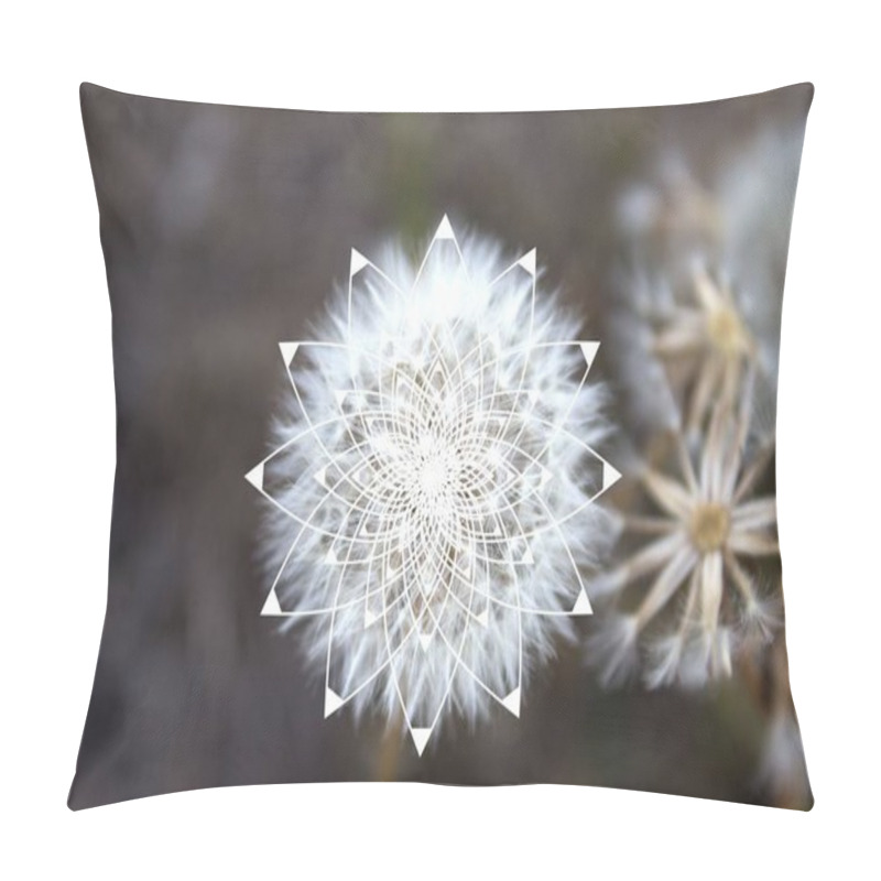 Personality  Sacred Geometry In Nature - Dandelion - 12 Star Spiral, Vector Illustration Pillow Covers