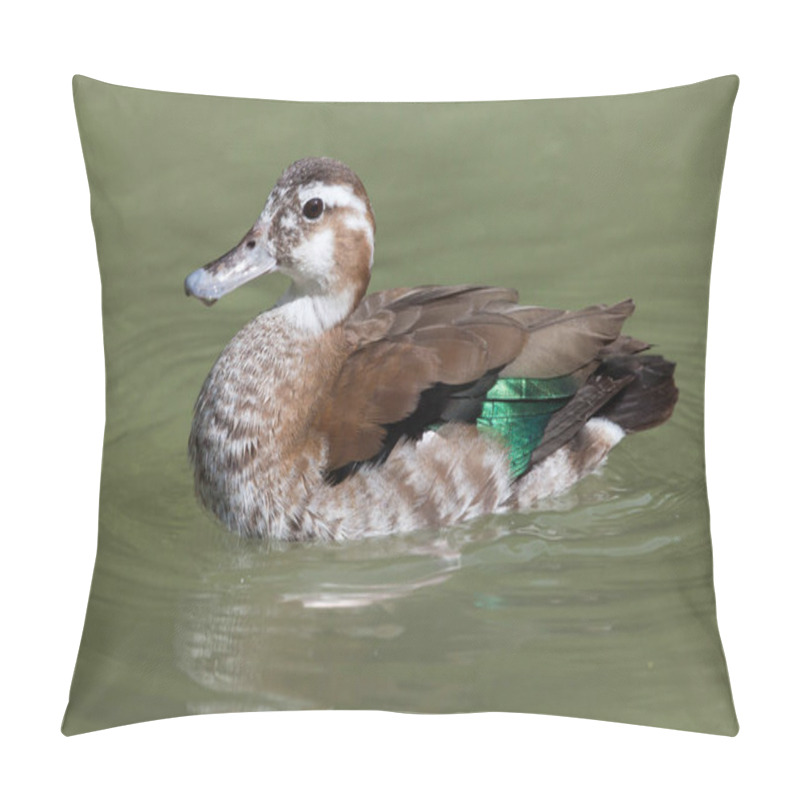 Personality  Ringed Teal (Callonetta Leucophrys). Pillow Covers