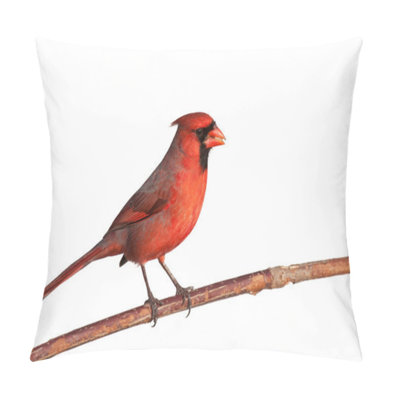 Personality  Cardinal Ona Cool Autumn Day Pillow Covers