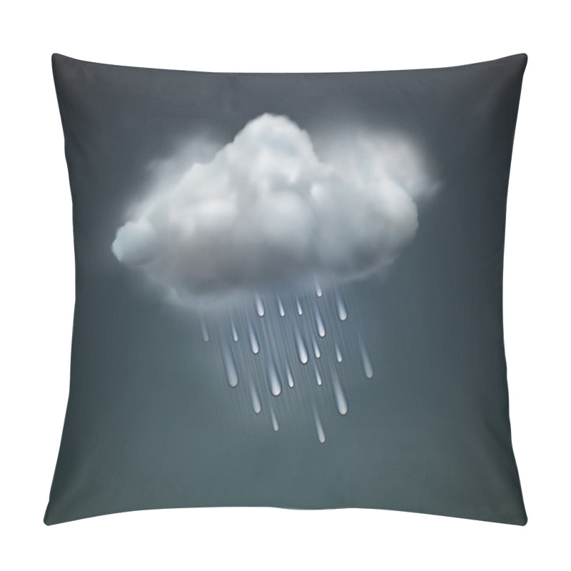 Personality  Weather Icon Pillow Covers