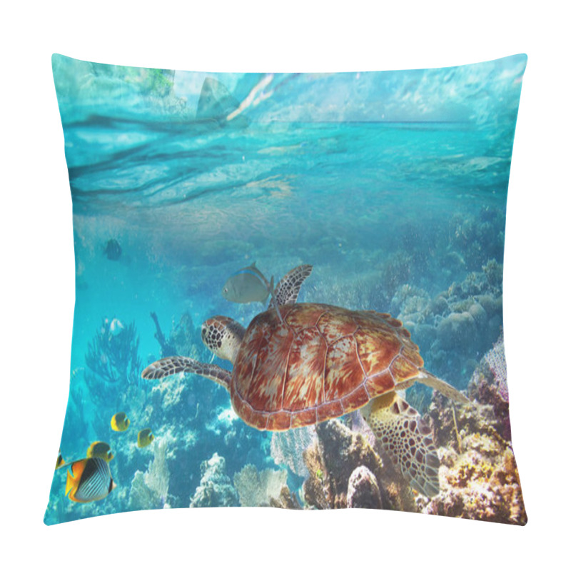 Personality  Green Turtle In The Tropical Water Pillow Covers