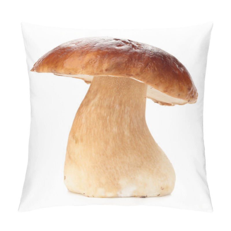 Personality  Cep On White Pillow Covers