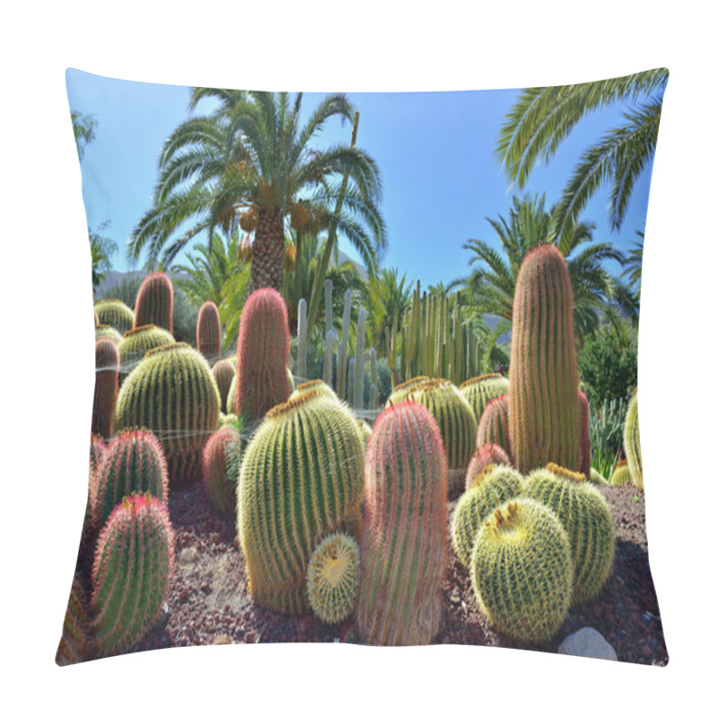 Personality  Cactus Garden Pillow Covers