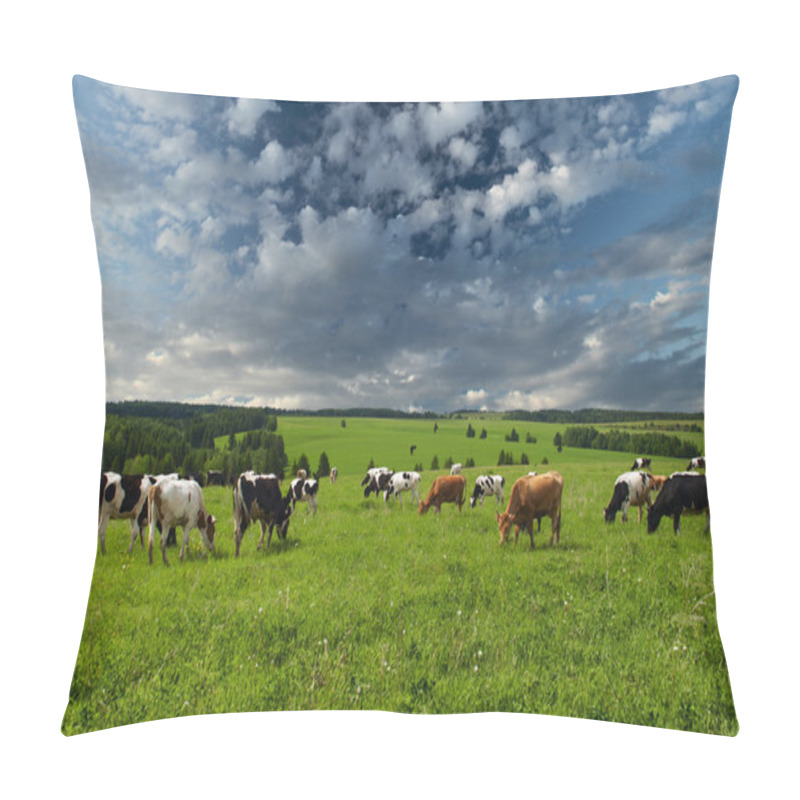 Personality  Cows Pillow Covers