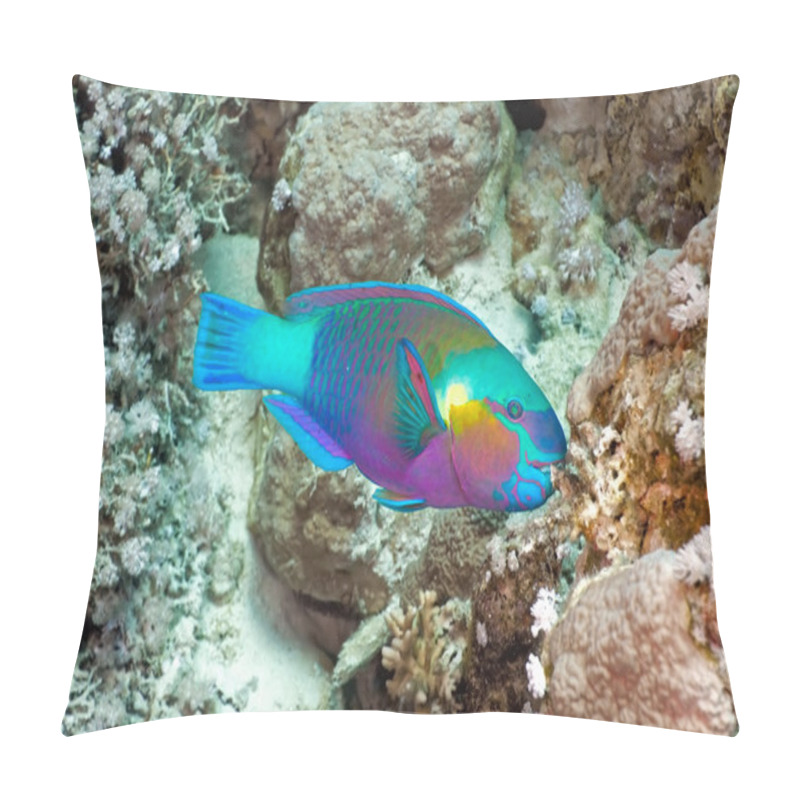 Personality  Parrotfish Pillow Covers