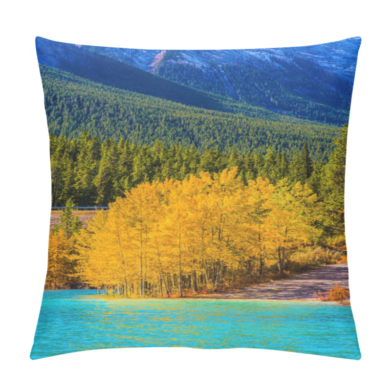 Personality  Concept Of Active, Ecological And Photo Tourism. Artificial Abraham Lake Reflects The Golden Foliage Of Aspen And Birches. Autumn Flood Of Abraham Lake, Rocky Mountains Of Canada Pillow Covers