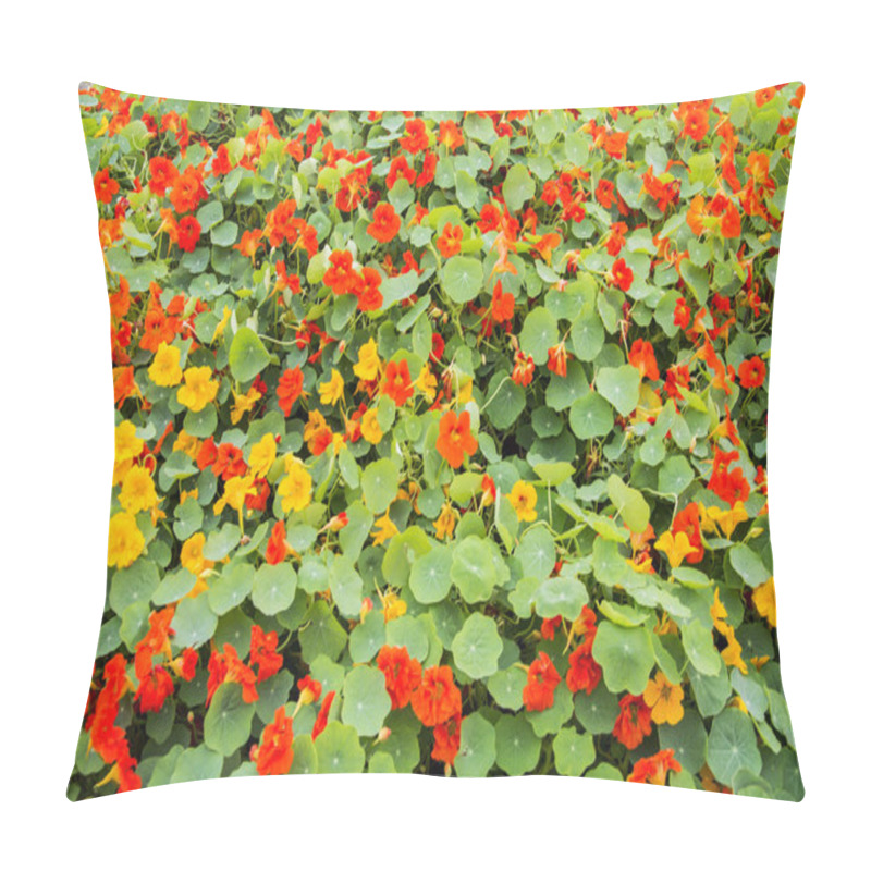 Personality  Nasturtium Flower Bed Pillow Covers