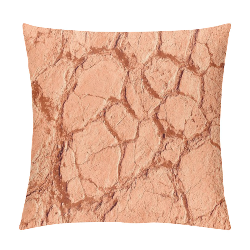 Personality  Detail Of Dry Land In Namib Desert, Namibia Pillow Covers