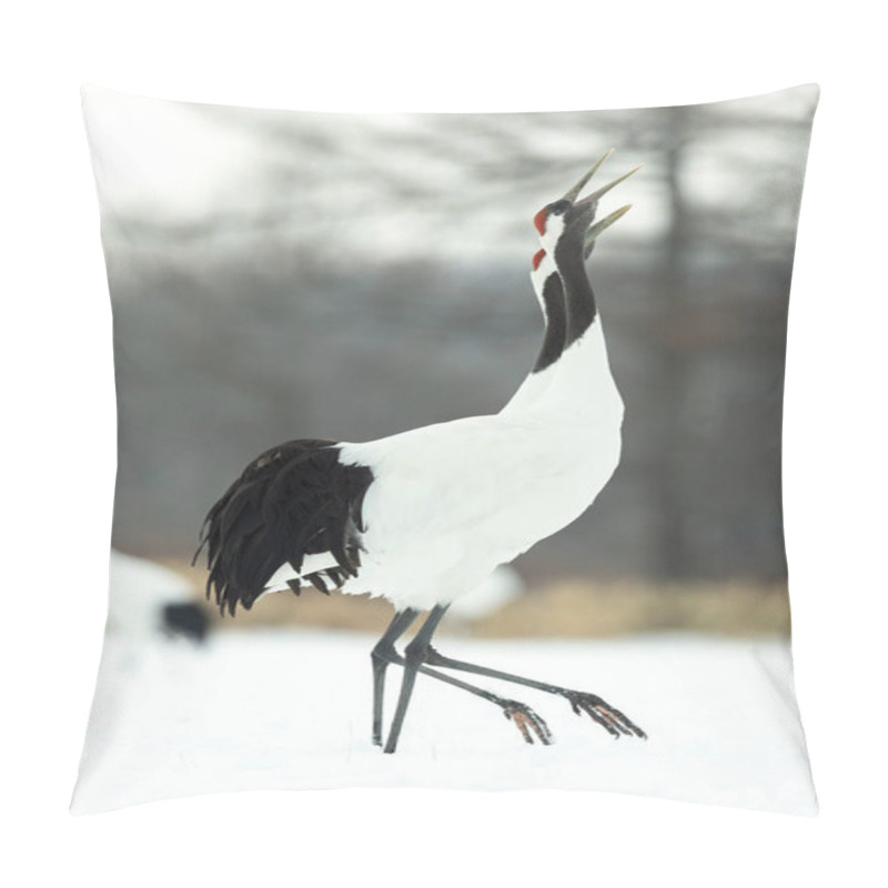 Personality  The Ritual Marriage Dance Of Cranes. The Red-crowned Cranes. Scientific Name: Grus Japonensis, Also Called The Japanese Crane Or Manchurian Crane, Is A Large East Asian Crane. Pillow Covers