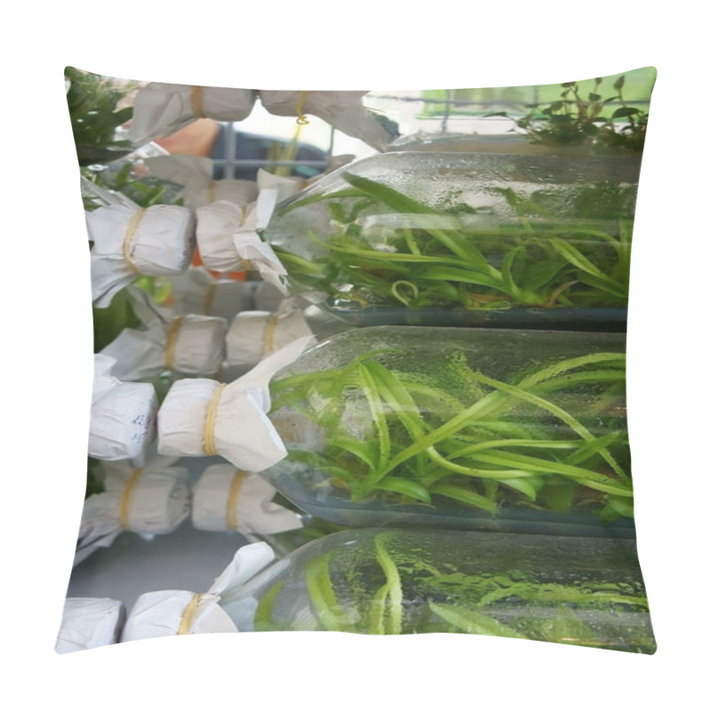 Personality  Nurseling Orchids In Glass Bottles Pillow Covers