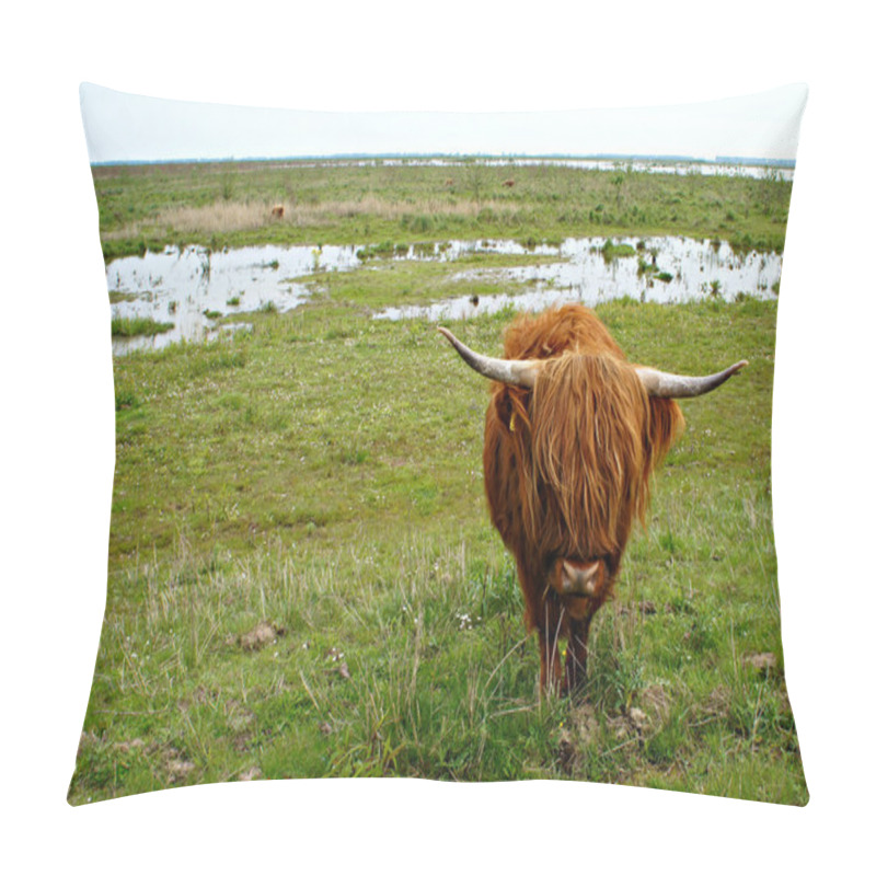 Personality  Highland Cow On Dutch Island Tiengemeten Pillow Covers