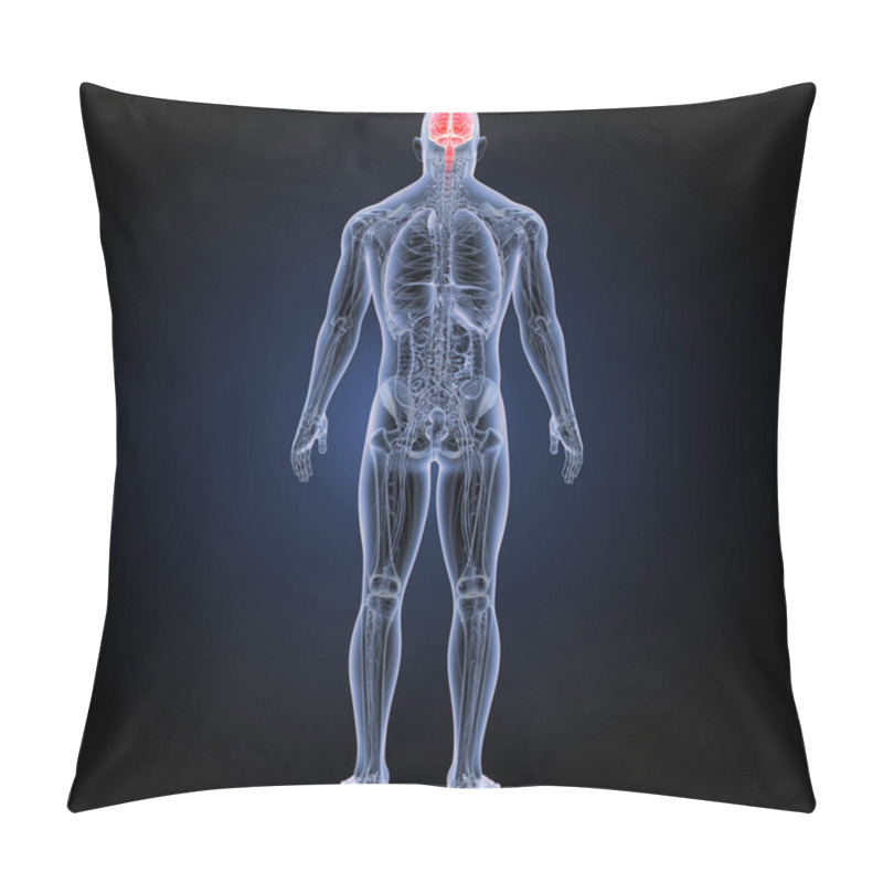 Personality  Human Brain Posterior View  Pillow Covers