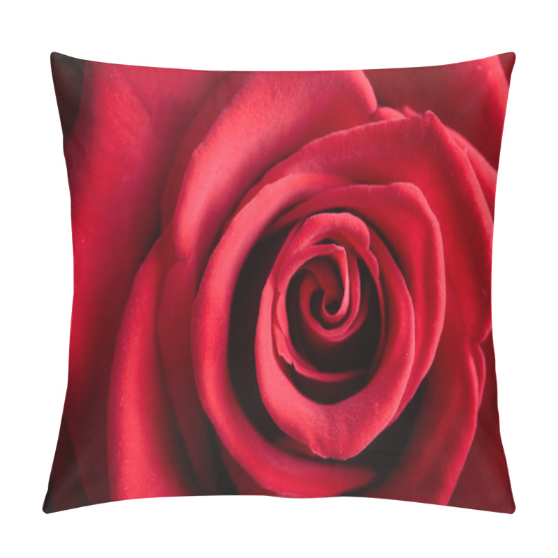 Personality  Closeup Red Rose Flower As Love Nature Background Pillow Covers