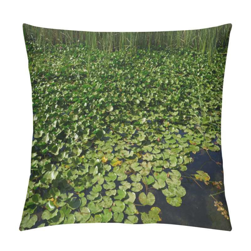 Personality  Water Lilies On A Lake Pillow Covers