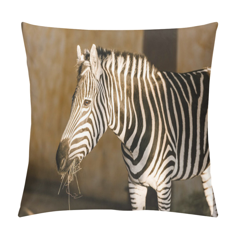 Personality  Close Up View Of Beautiful Striped Zebra At Zoo Pillow Covers