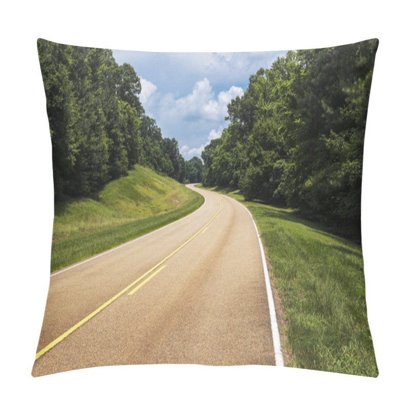 Personality  View Of The Natchez Trace Parkway In Mississippi Pillow Covers