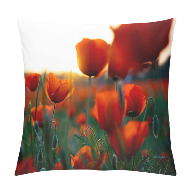 Personality  Beautiful Red Poppy Flowers On The Field  Pillow Covers