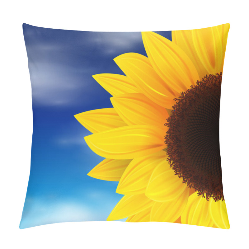 Personality  Summer Background Pillow Covers