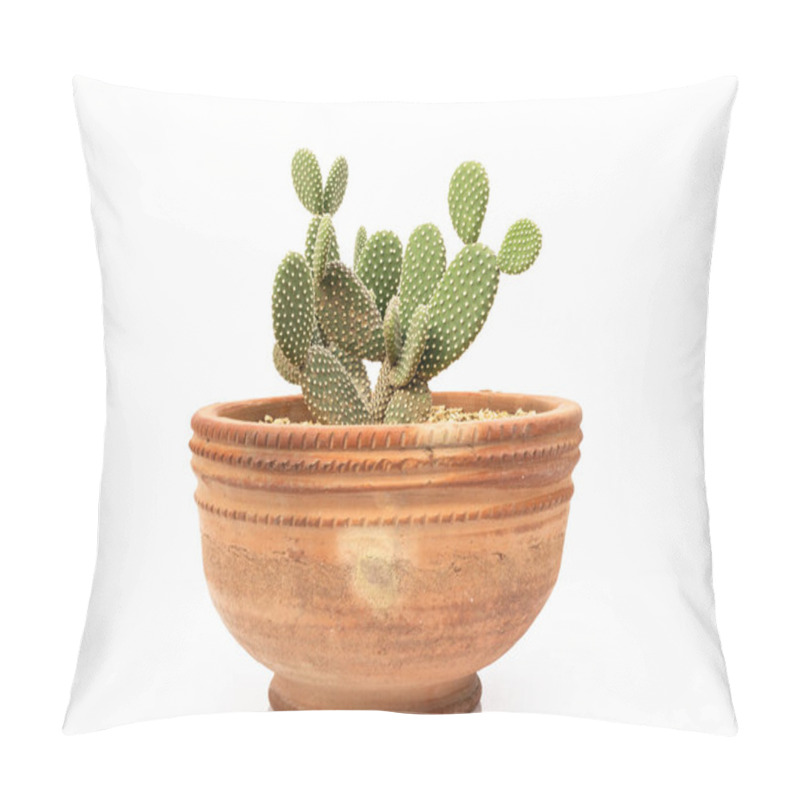 Personality  Opuntia Microdasys Cactus In Clay Pot With On White Isolated Background Pillow Covers