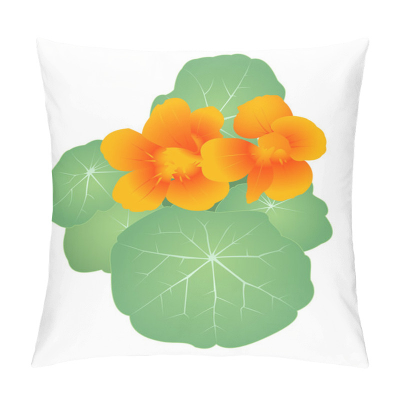 Personality  Garden Flower Pillow Covers