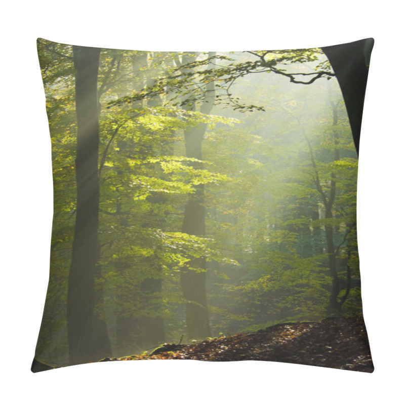 Personality  Autumn Forest In The Mist Pillow Covers