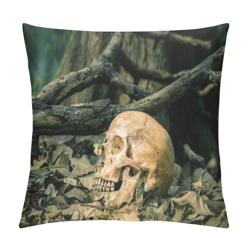 Personality  Still Life Skull Pillow Covers