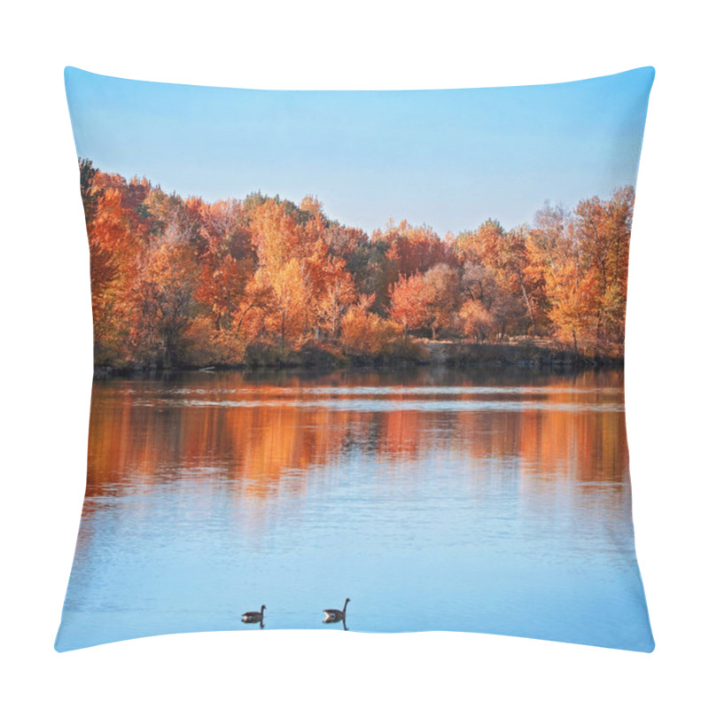 Personality  Two Geese Swimming In A Pond During Autumn Toned With A Retro Vintage Instagram Filter  Pillow Covers