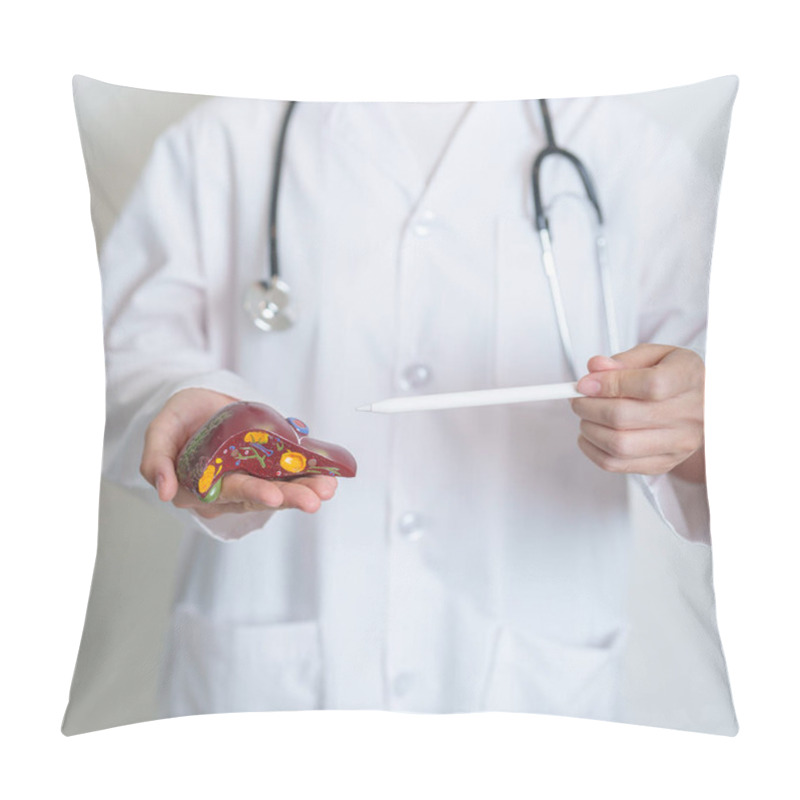 Personality  Doctor Holding Human Liver Anatomy Model. Liver Cancer And Tumor, Jaundice, Viral Hepatitis A, B, C, D, E, Cirrhosis, Failure, Enlarged, Hepatic Encephalopathy, Ascites Fluid In Belly And Health Pillow Covers