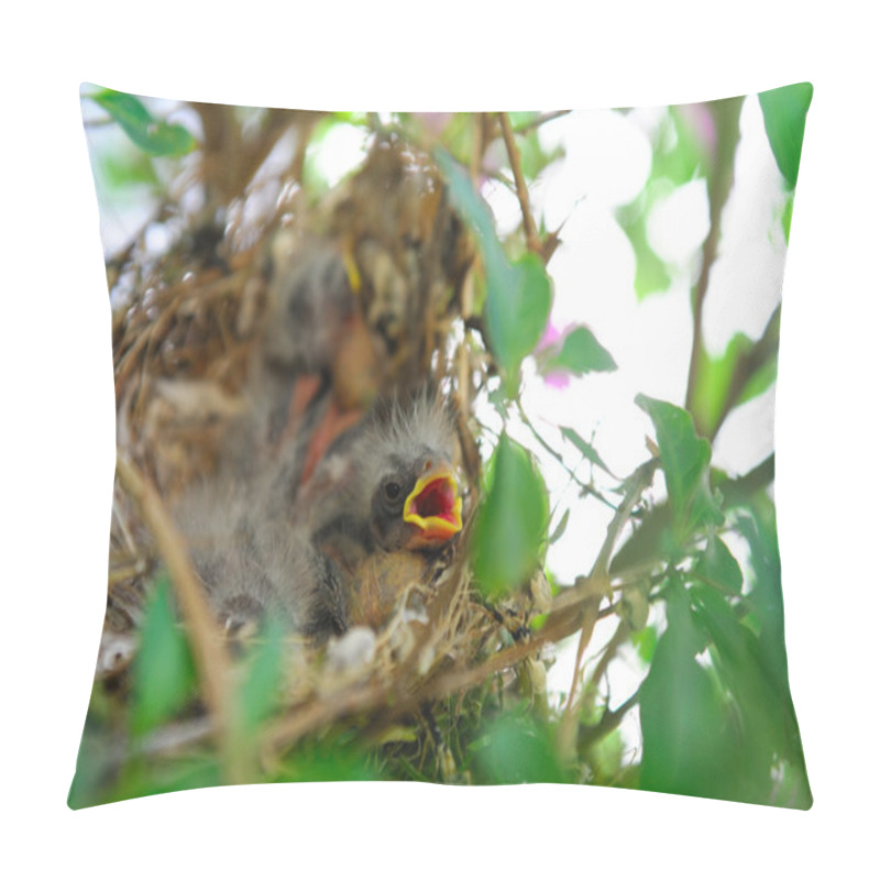 Personality  Baby Birds In A Nest Pillow Covers