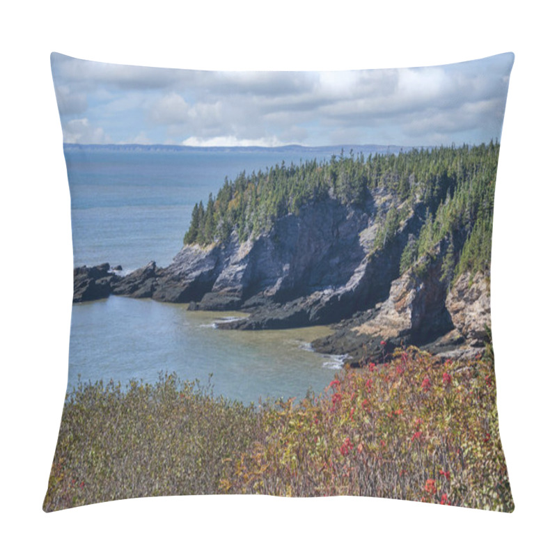 Personality  Scenic Landscape Of Saint John At Cape Spencer, New Brunswick, Canada Pillow Covers