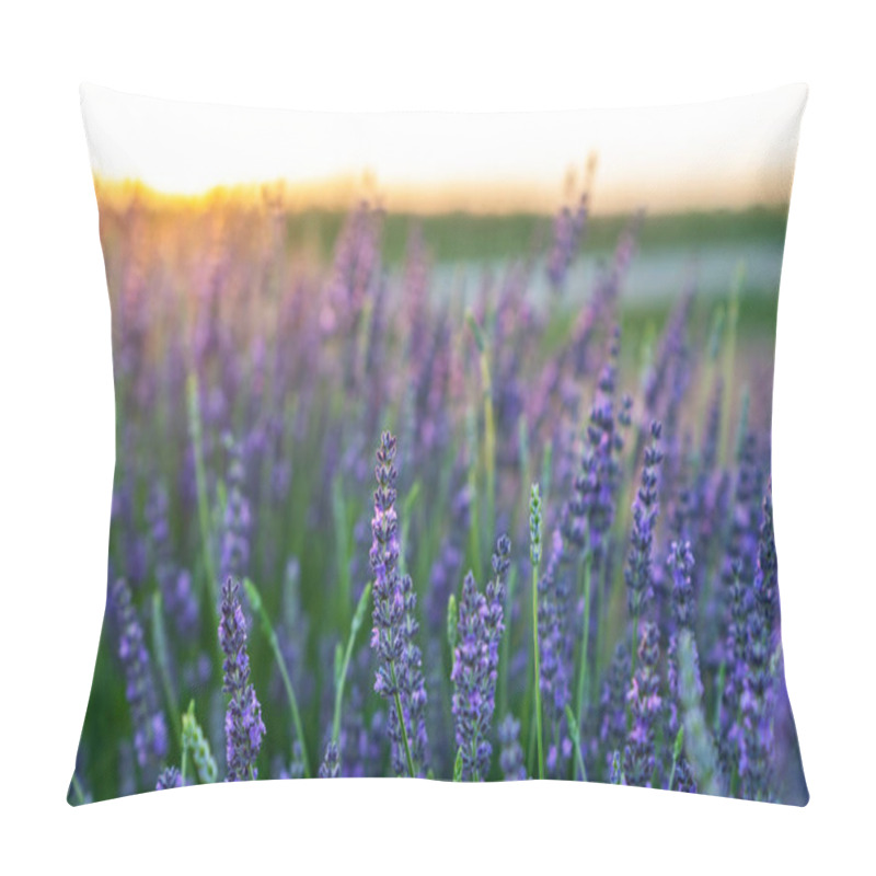 Personality  Lavender Field In The Sunset, Background, Texture. Pillow Covers