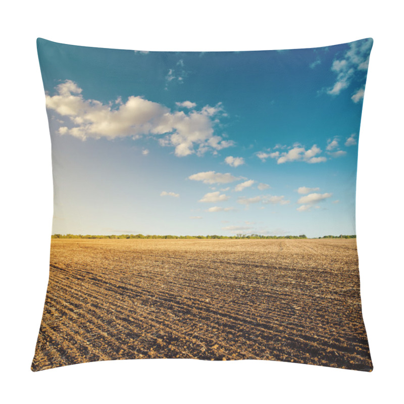 Personality  Black Field After Harvesting And Blue Cloudy Sky Pillow Covers