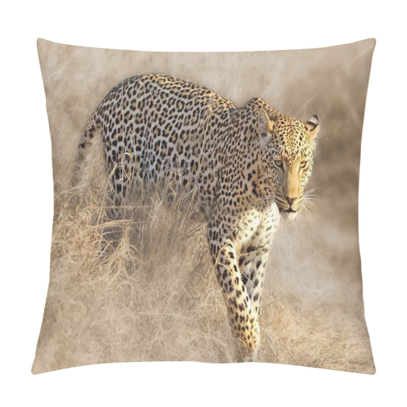 Personality  Wild African Leopard Pillow Covers