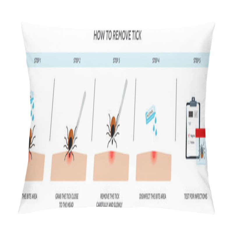 Personality  The Correct Way To Remove A Tick Insect Correctly. Prevention Of Infections Transmitted By Mite Pillow Covers