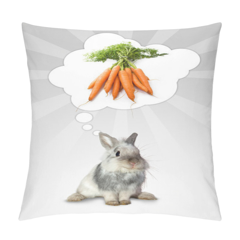 Personality  The Rabbit's Think Pillow Covers