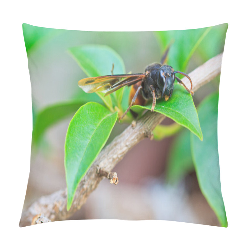 Personality  Wasps On The Leaf Pillow Covers