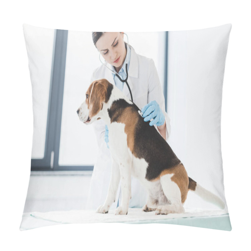 Personality  Female Veterinarian Examining Beagle By Stethoscope In Clinic Pillow Covers