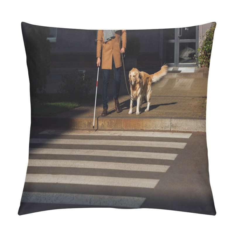 Personality  Cropped View Of Man With Stick And Guide Dog Standing Beside Crosswalk Pillow Covers