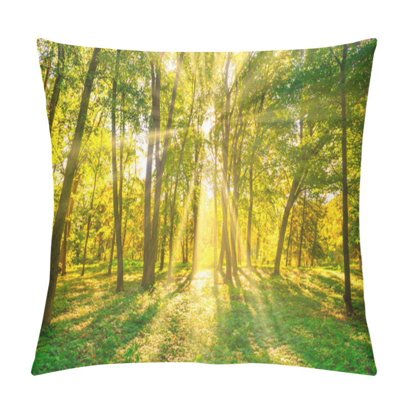 Personality  Forest Sunset Autumn Trees And Sun Light Pillow Covers