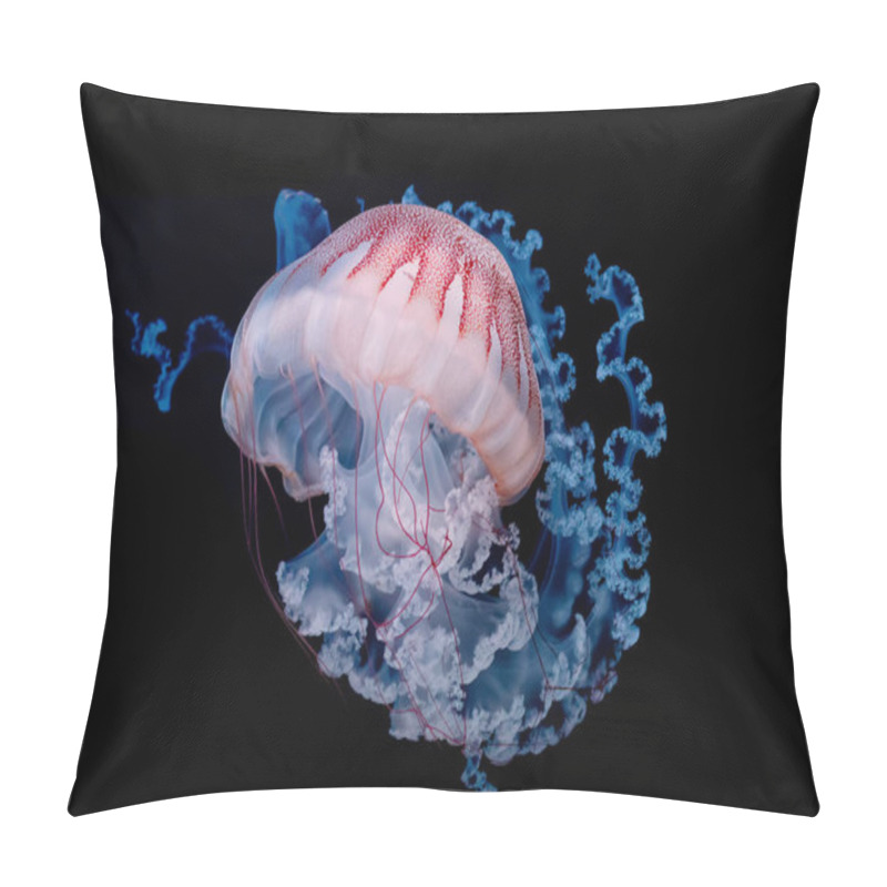 Personality  Giant Jellyfish Swimming In Dark Water. Pillow Covers