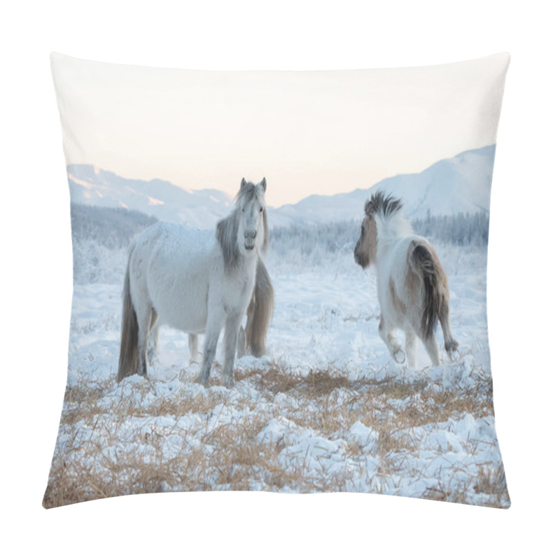 Personality  Yakut Horses Grazing On A Meadow Against The Background Of Mountains. Yakutian Horses Living On Year-round Grazing In The Extreme Conditions Of The North In The Sakha Republic, Siberia Pillow Covers