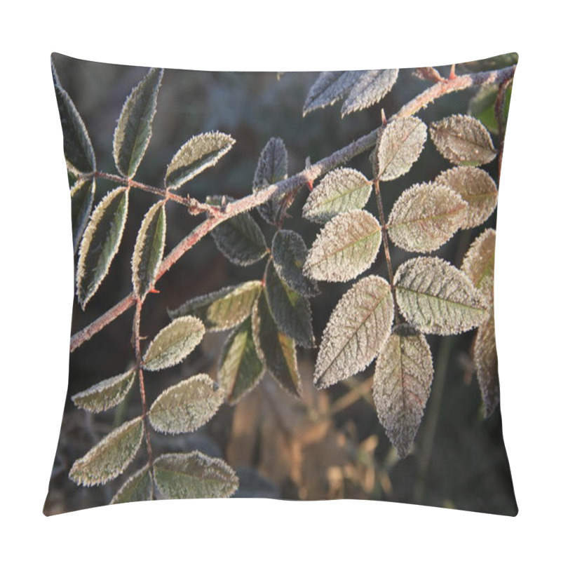 Personality  Pictures Of A Cold Morning On An Autumn Leaf. Background With Frost For Phones And Tablets. Cold Morning. Form, Texture And Structure In Nature. Pillow Covers