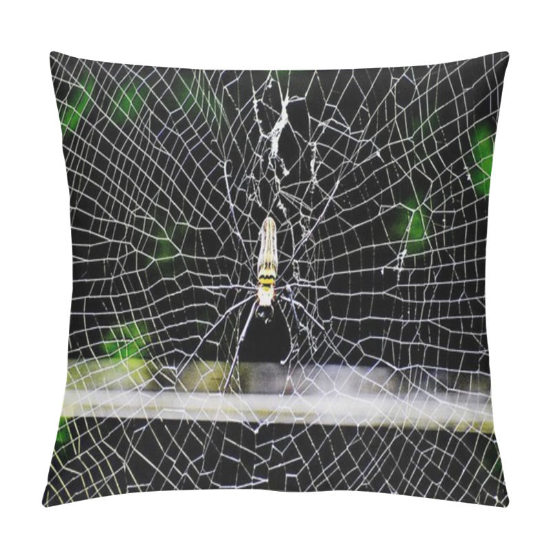 Personality  Spider Insect And Web Pillow Covers