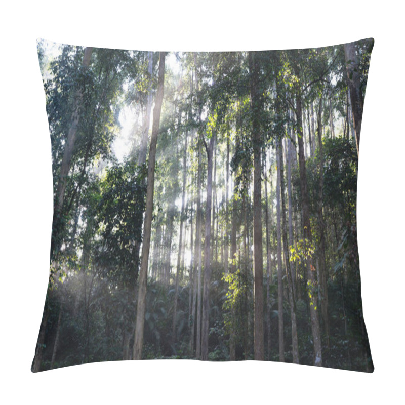 Personality  Sunrise In Malaysian Jungles Pillow Covers