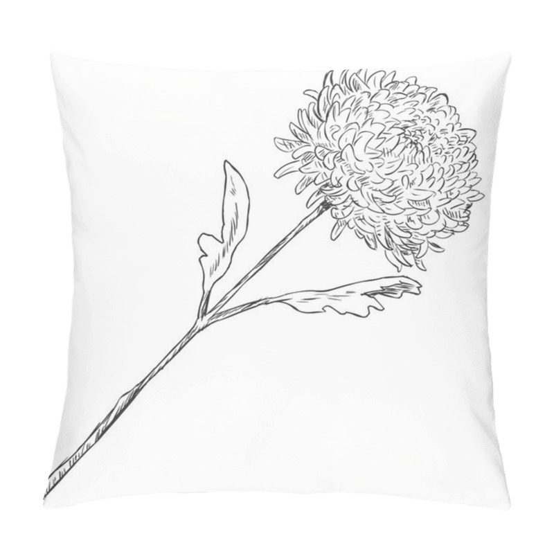 Personality  Vector Sketch Illustration - Chrysanthemum Pillow Covers