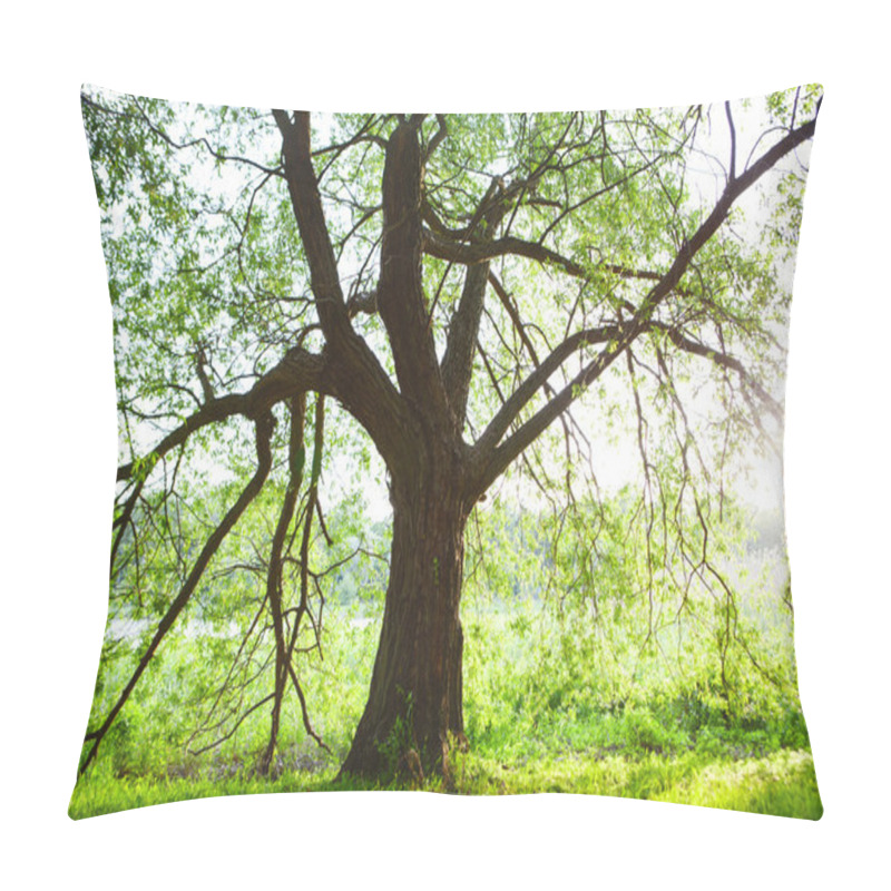 Personality  Spring Meadow With Big Tree With Fresh Green Leaves Pillow Covers