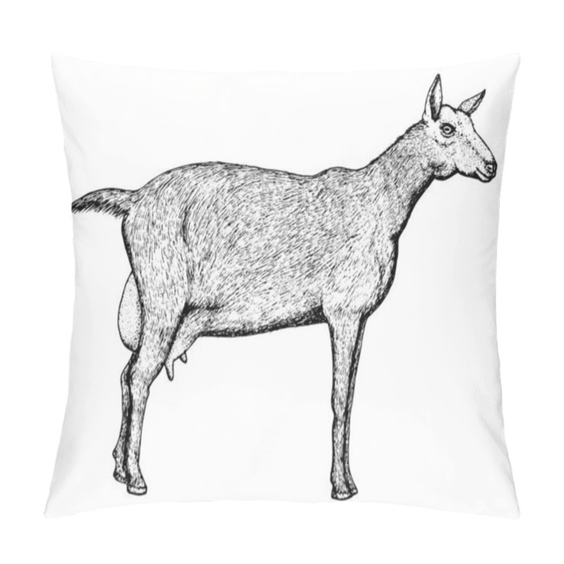 Personality  Zanean Goat Sketch In Black Line Graphic Style Isolated On White Pillow Covers