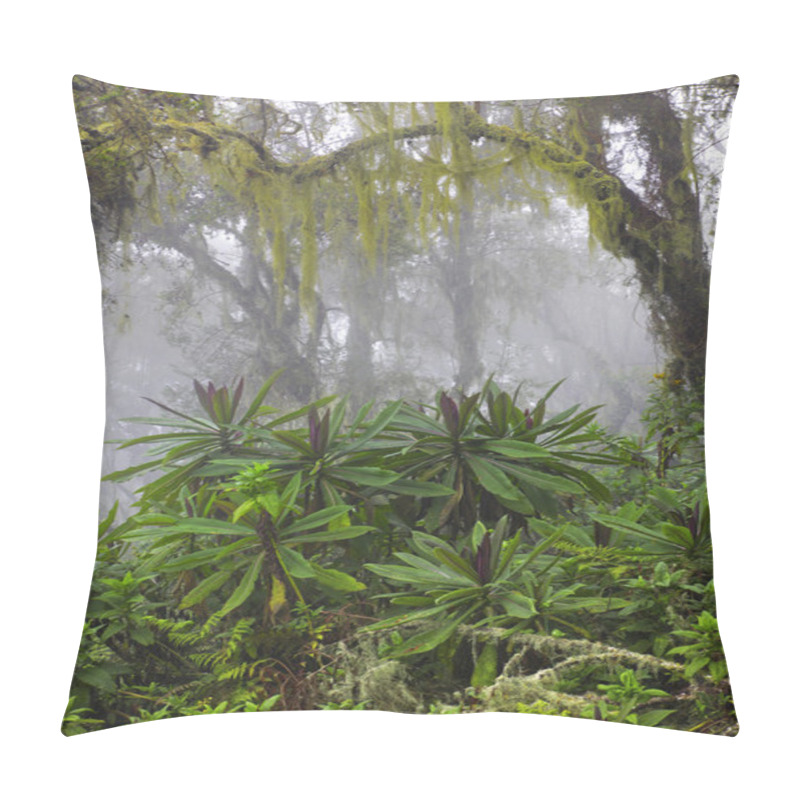 Personality  Trail In The Jungle Pillow Covers