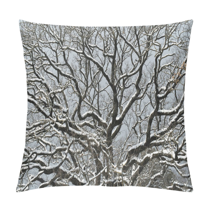 Personality  The Tangle Of The Bare Branches Of An Oak In Winter  Snow Covered Pillow Covers